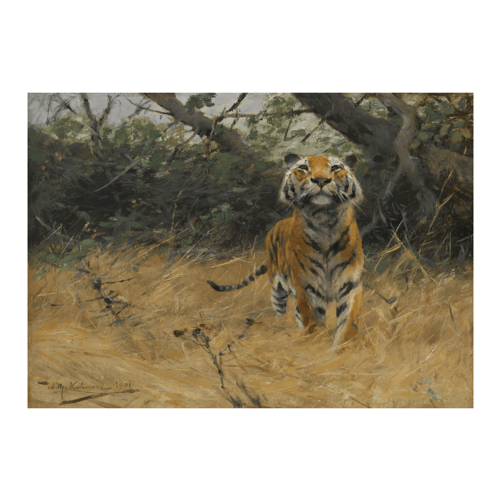 Tiger On The Watch (1901)