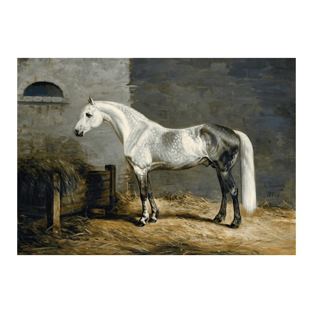 Granit (1874)