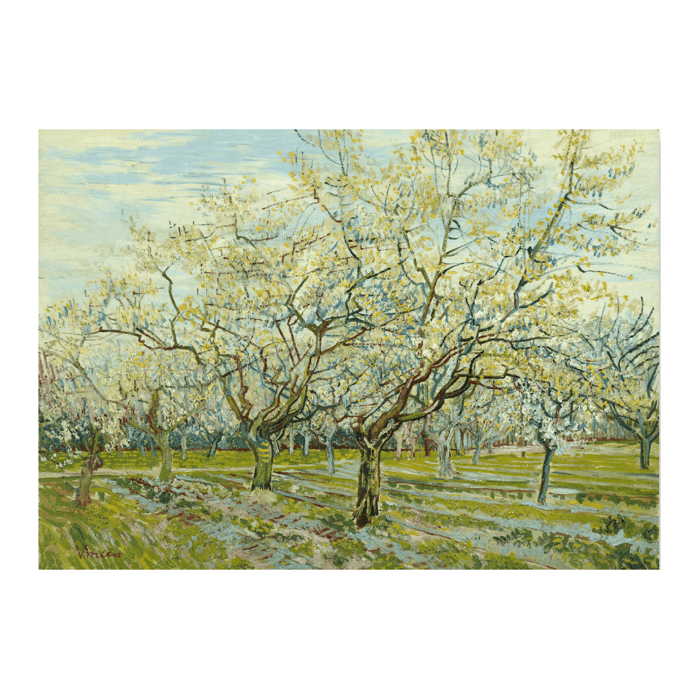 Van Gogh: "The White Orchard (1888)"