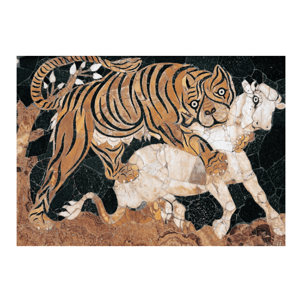 Tiger Attacking A Calf