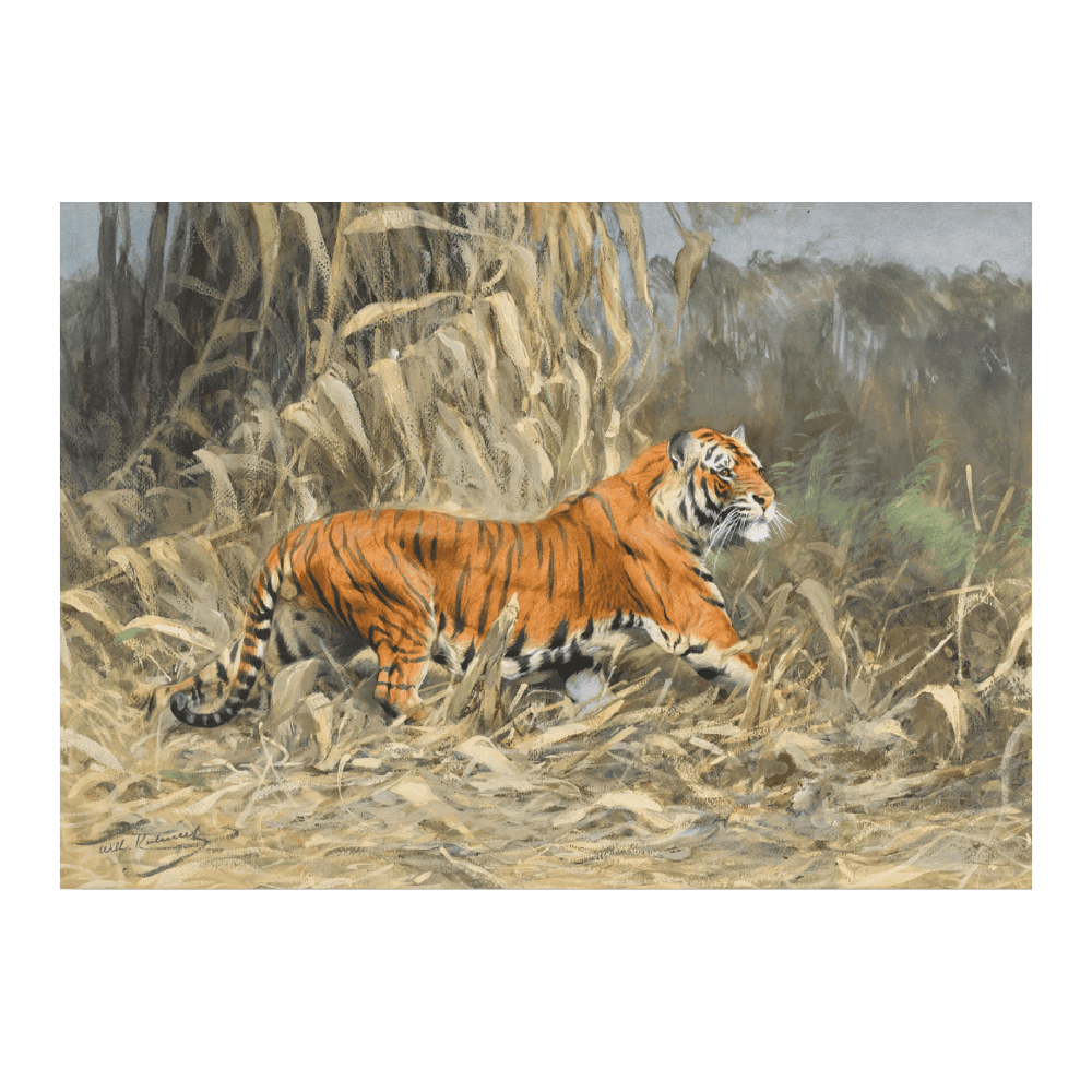 Im Dschungel (Tiger)