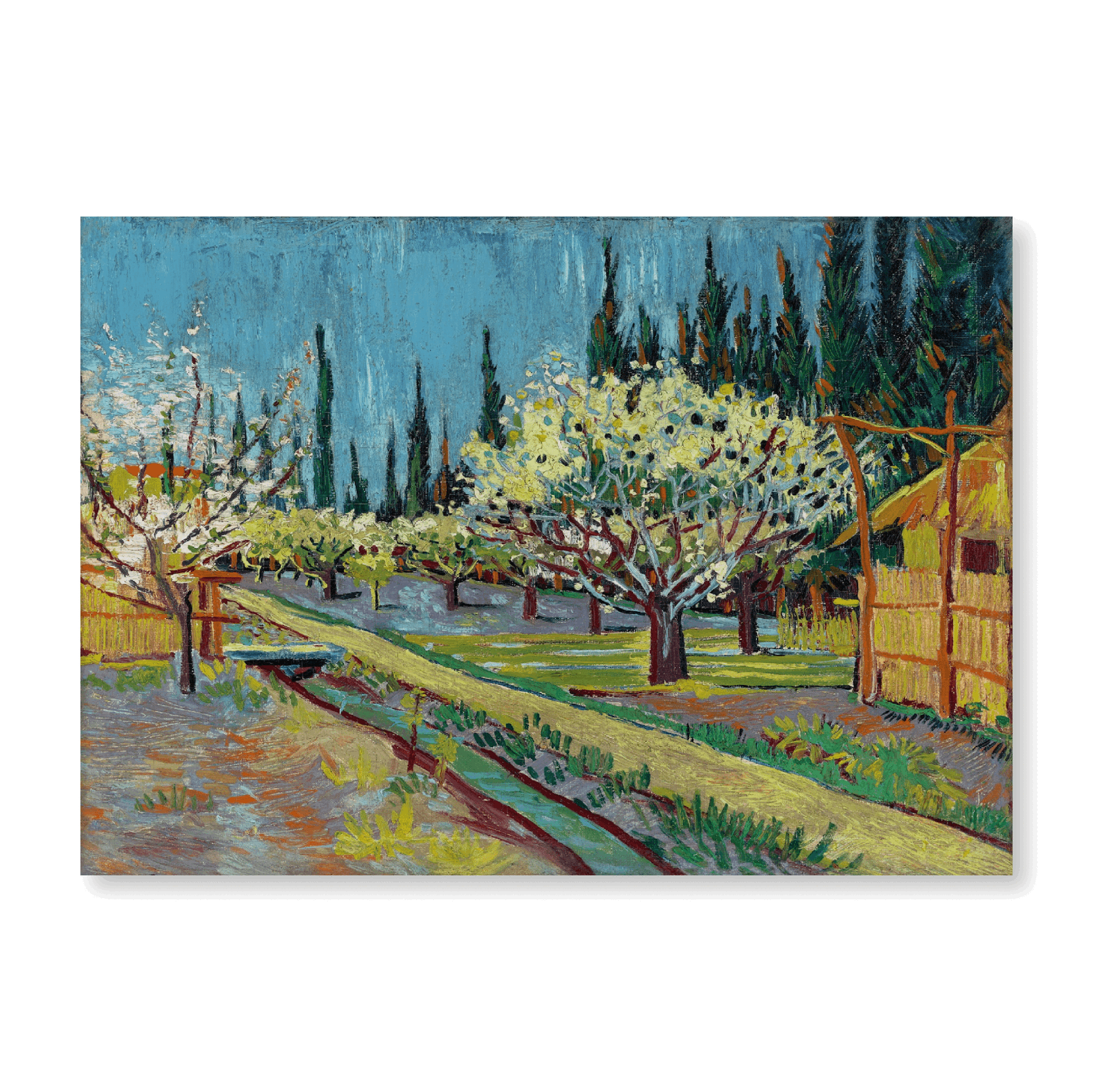 Van Gogh: "Orchard Bordered by Cypresses (1888)" - Jasper & Jute