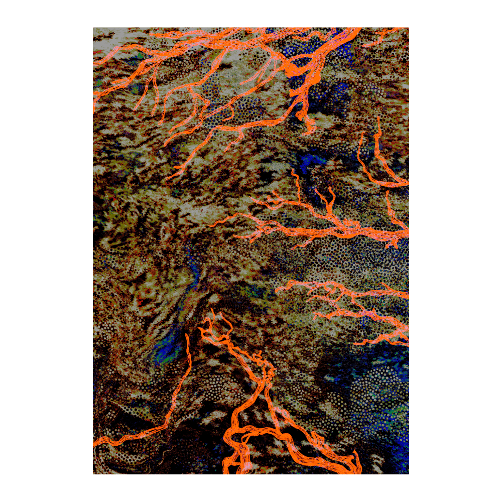 Veins of the Land