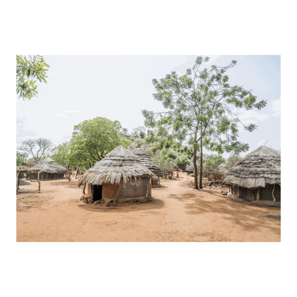 Village In Uganda II