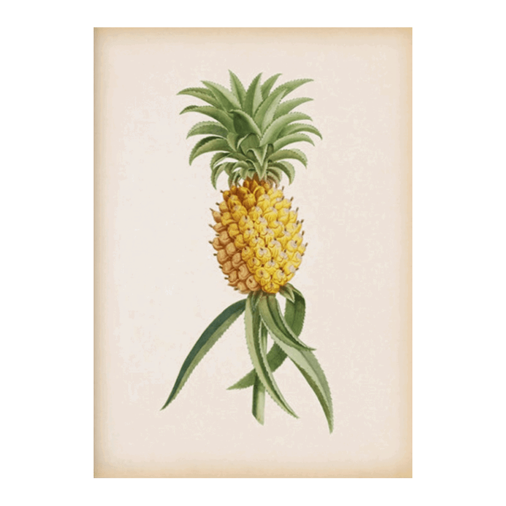 Vintage Fruit Set II
