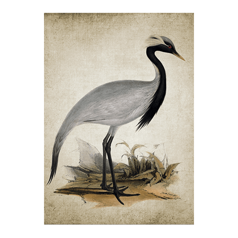 Vintage Heron III