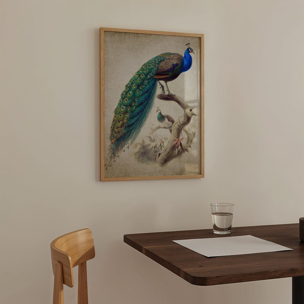 Vintage Peacock