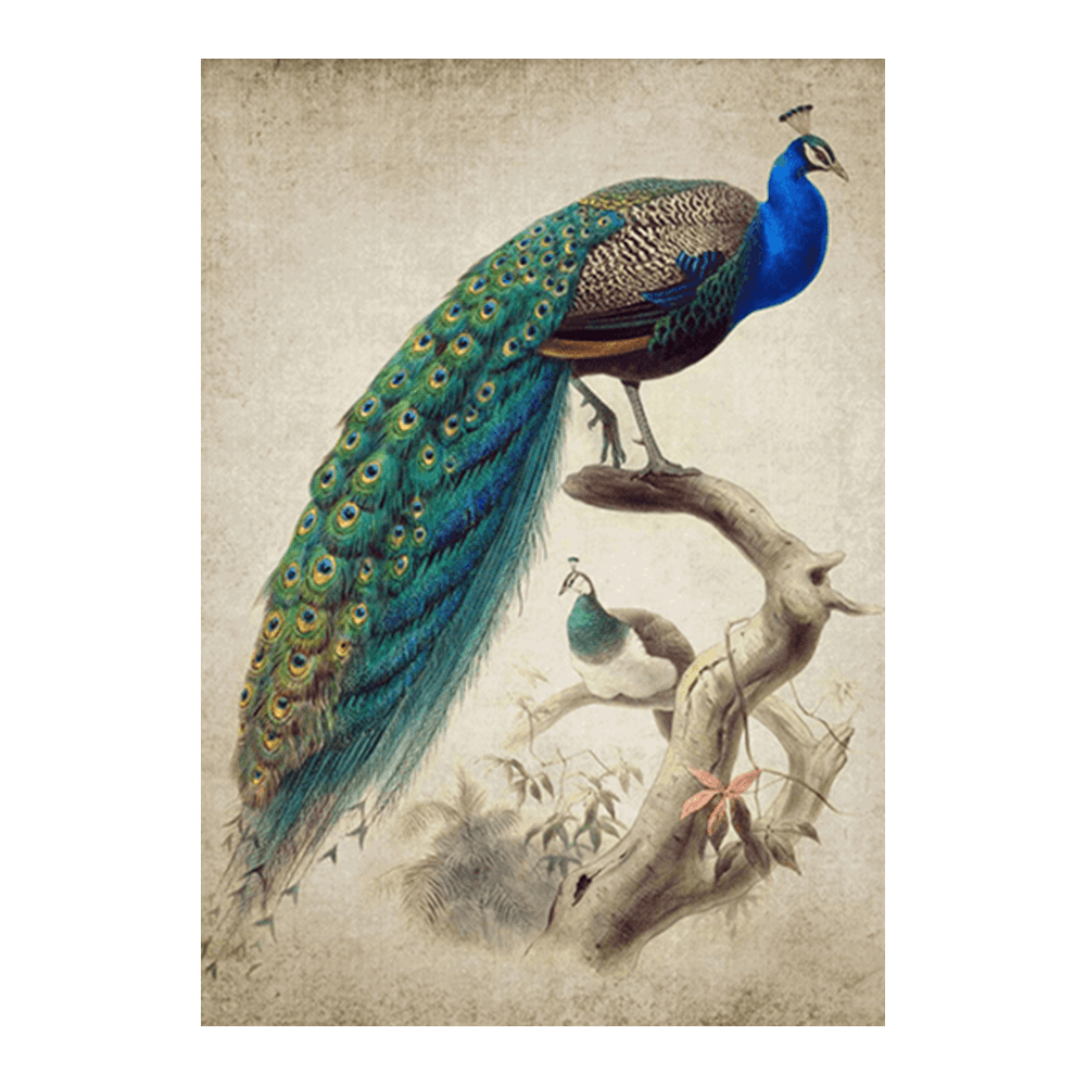 画材 Peacockesque Vintage Peacock