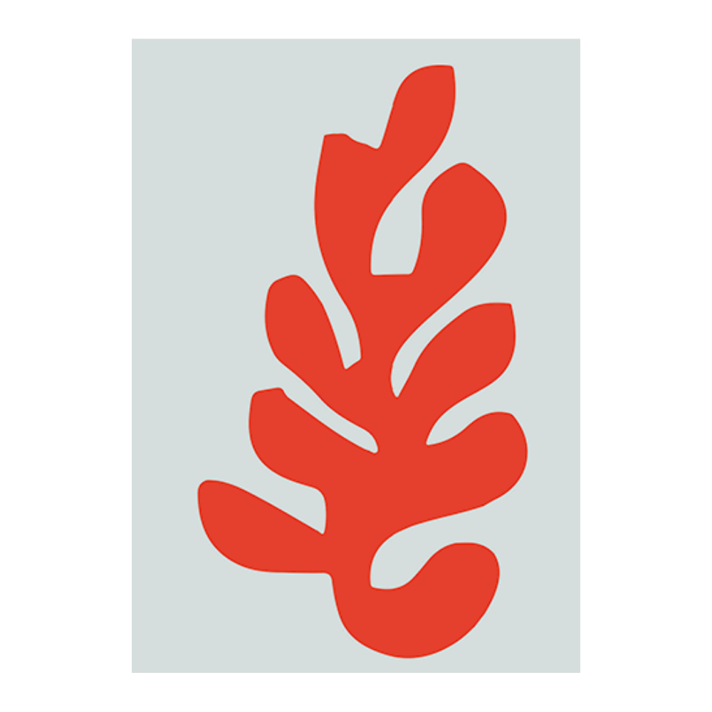 Matisse Red Coral