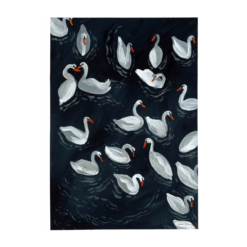 Swanning Around
