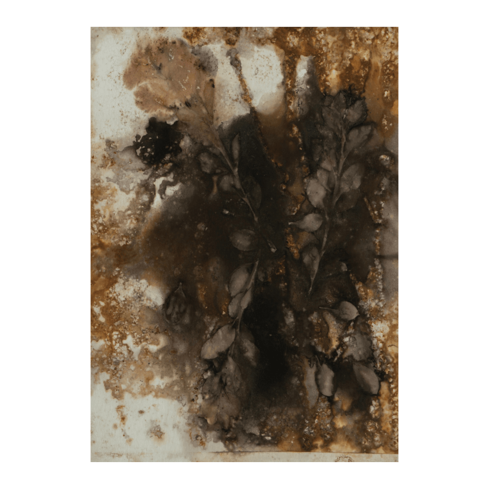 Wild Honey I