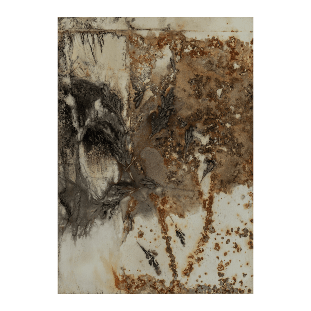 Wild Honey II