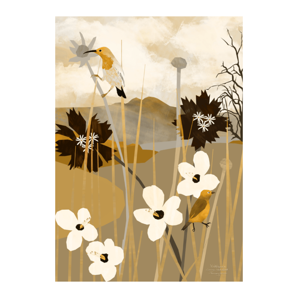 Wildflowers II