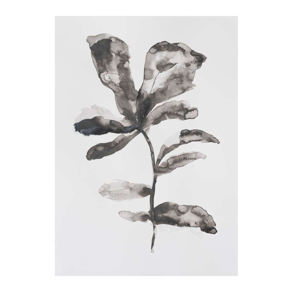 Quiet Seasons II