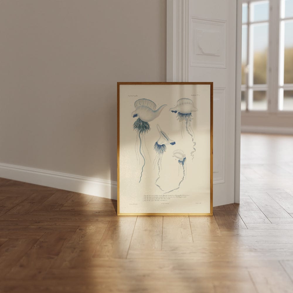 Voyage Autour Du Monde PI XCII