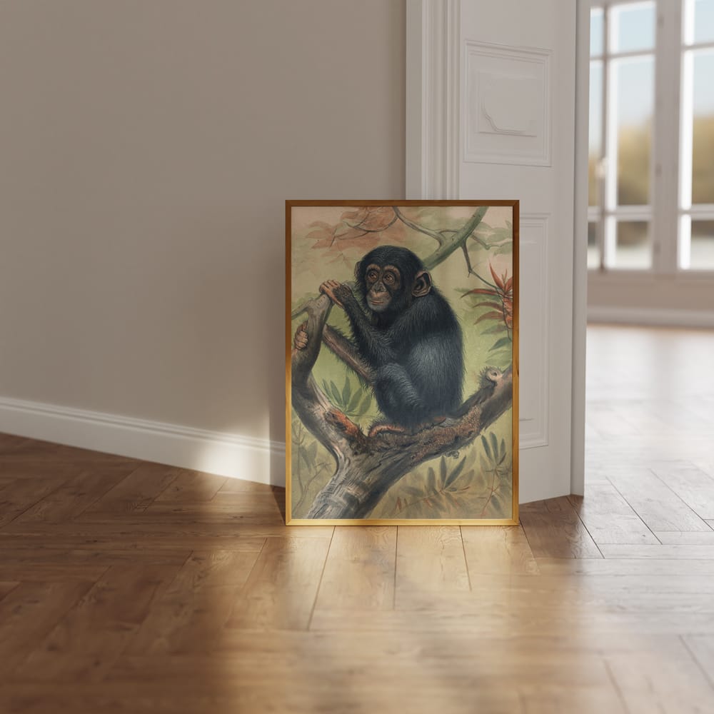 The Chimpanzee