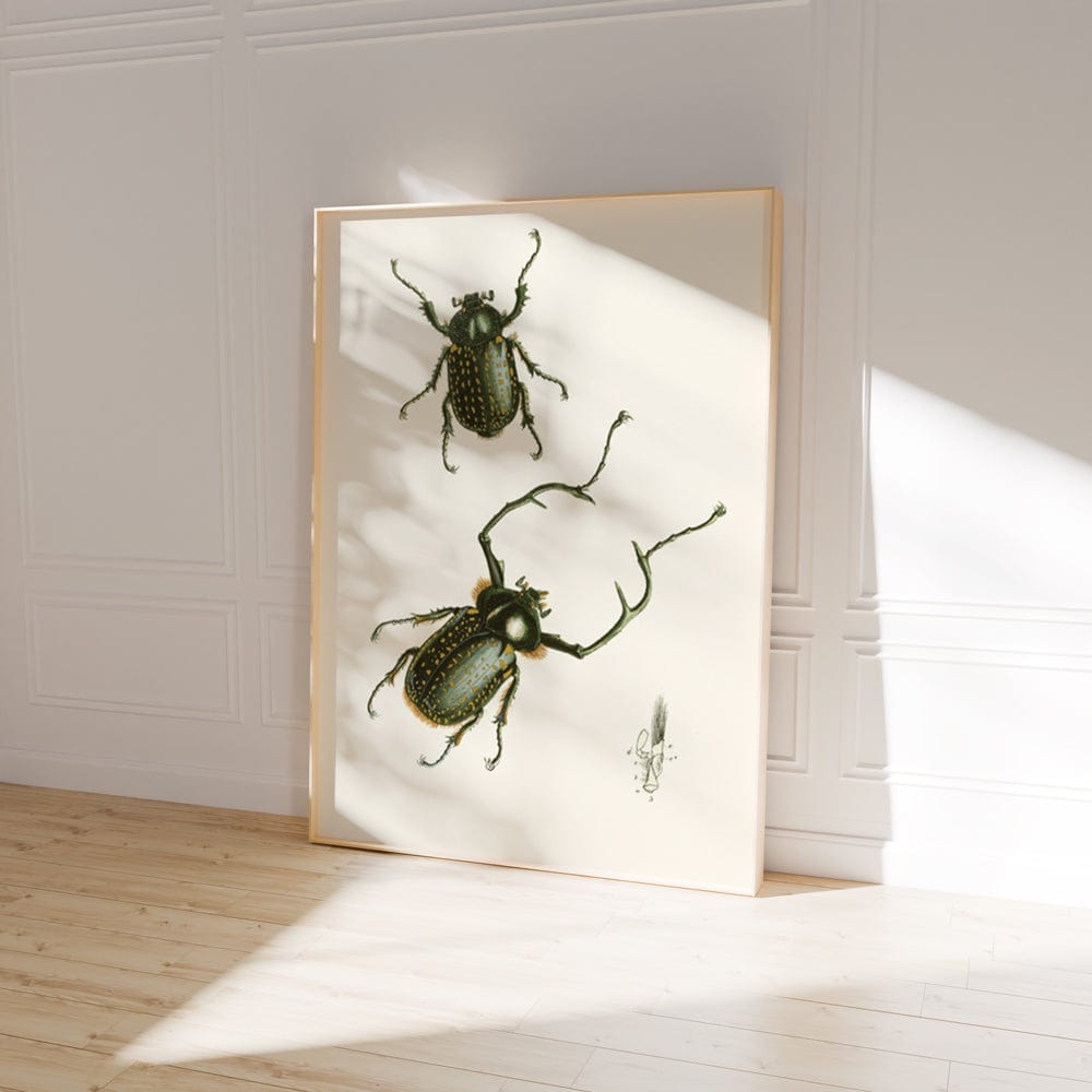 The Cabinet of Oriental Entomology Pl II (1848)