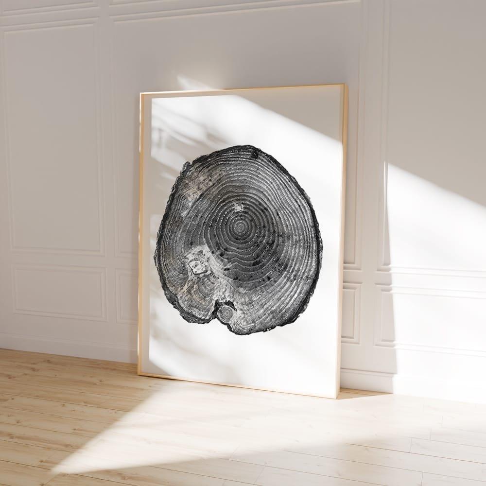 Tree Rings III