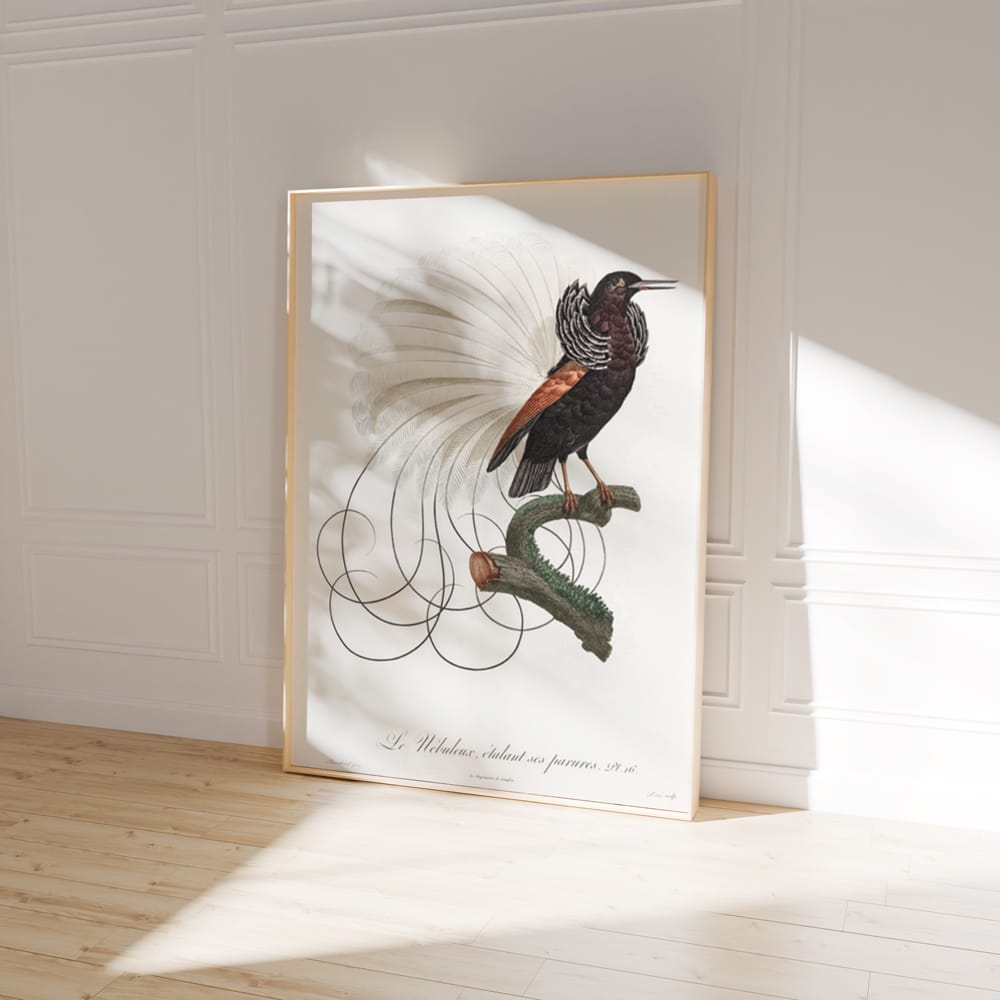 Twelve Wired Bird of Paradise
