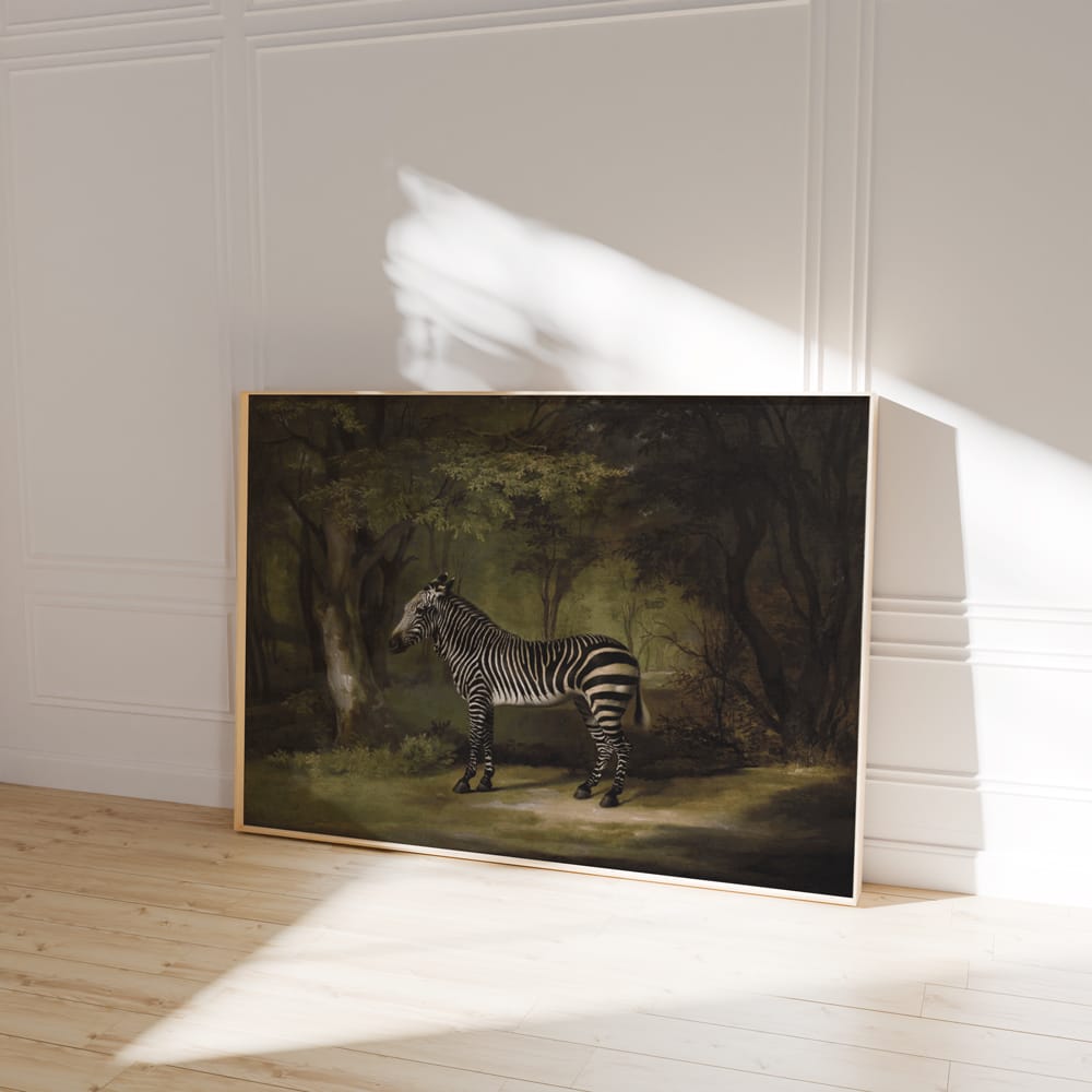 Zebra In The Woods