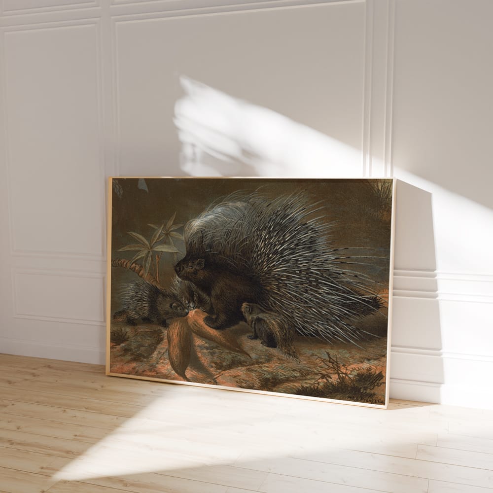 Porcupine