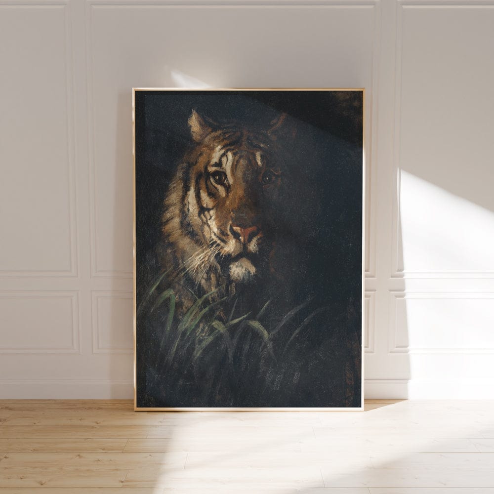 Tigers Head