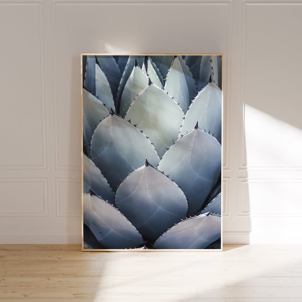 Blue Agave Side