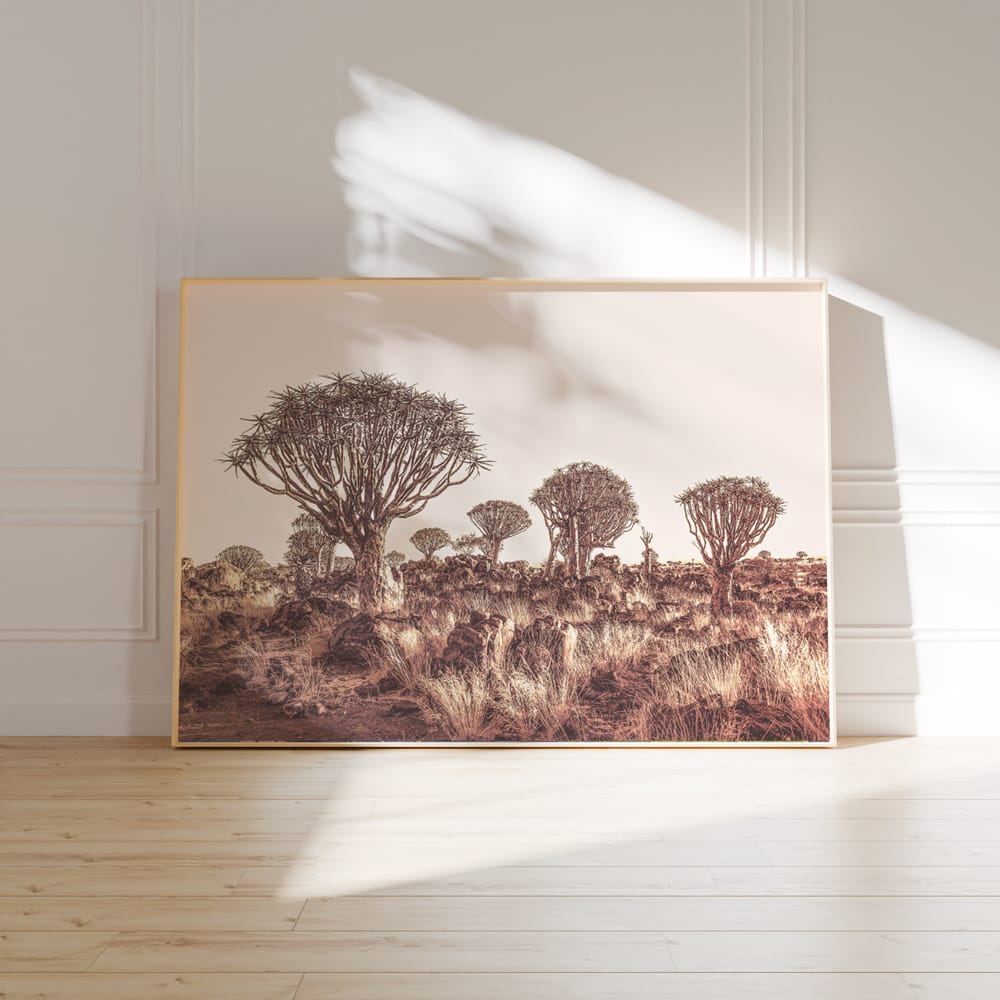 Quiver Trees At Dusk
