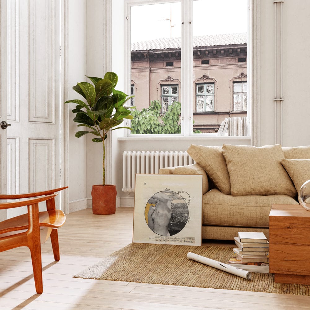 Plants And Animals And Men Have Moved