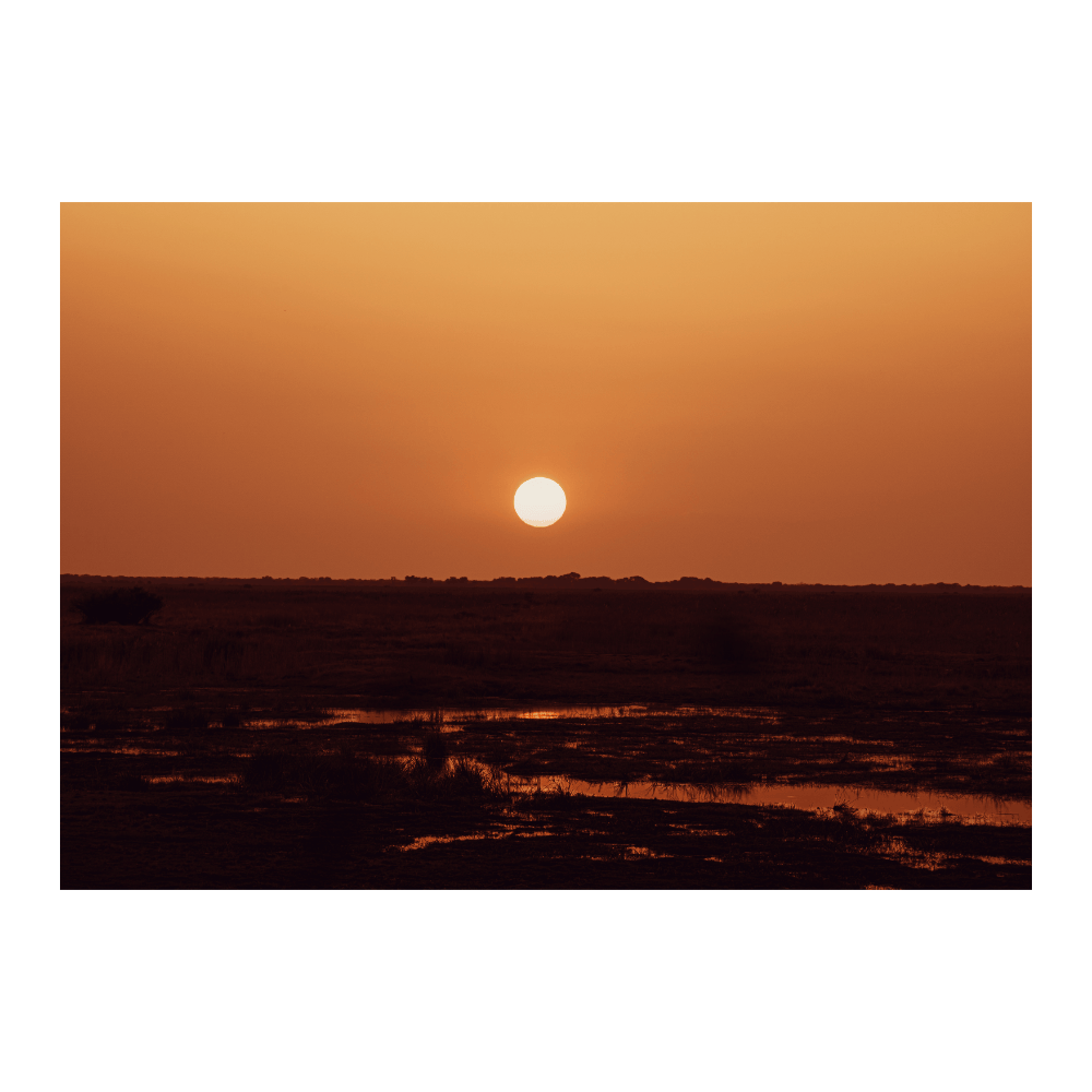 Sunset Over The Wetland