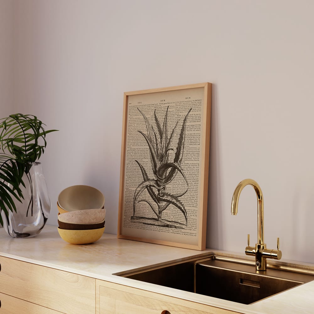 Antique Aloe