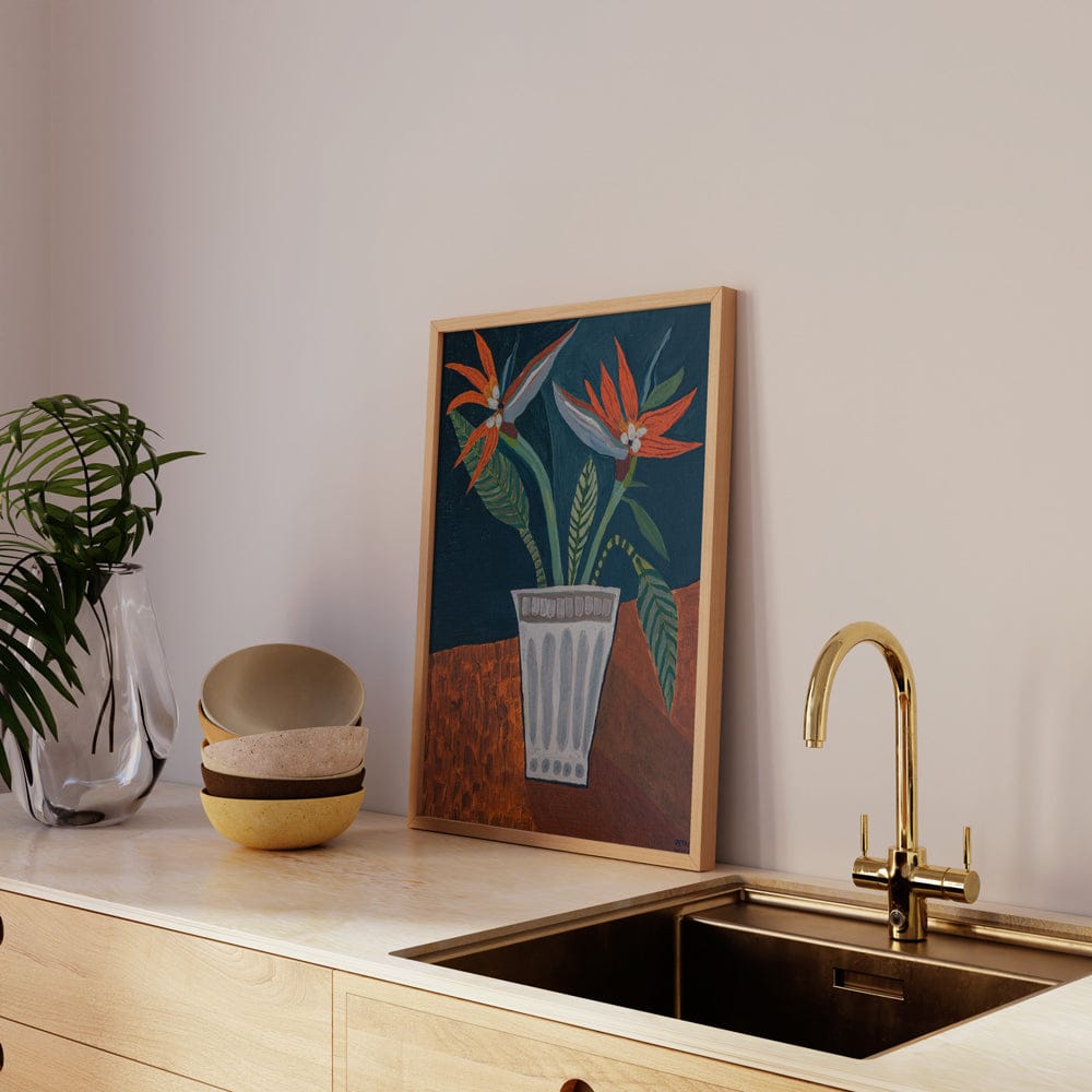 Blooming Strelitzia's