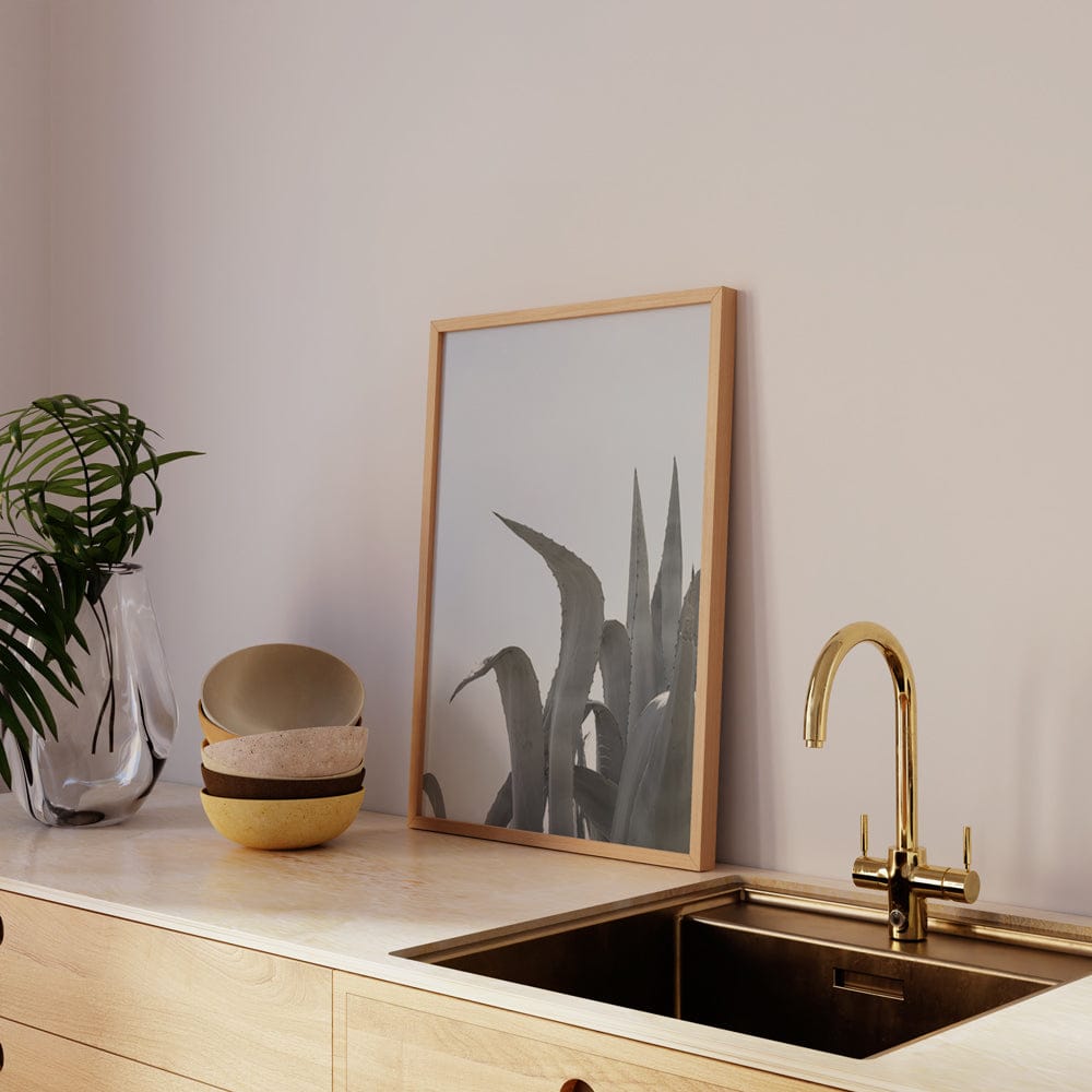 Charming Agave