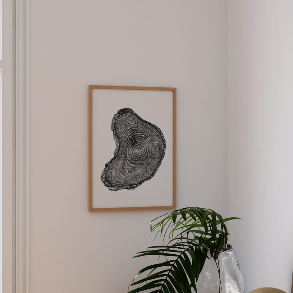 Tree Rings II
