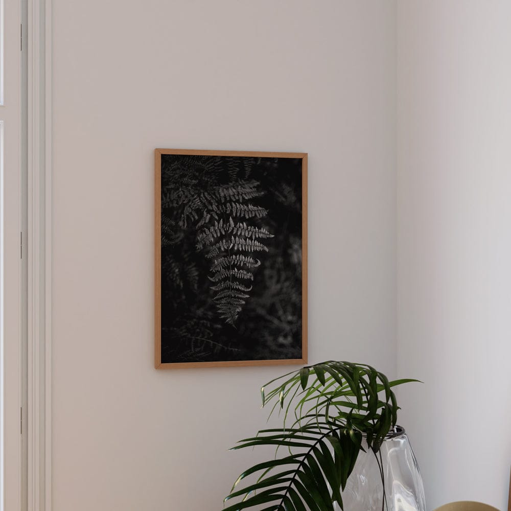 Silver Fern
