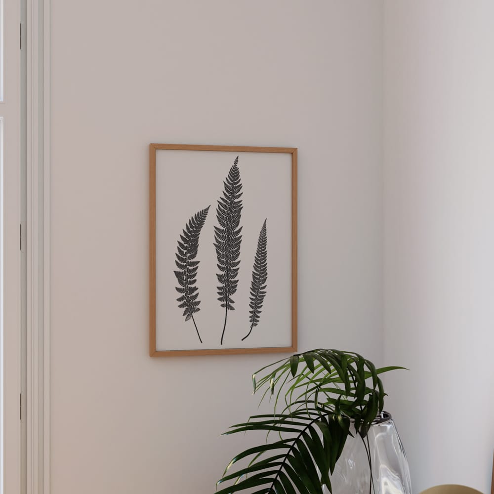 Fern Illustration I
