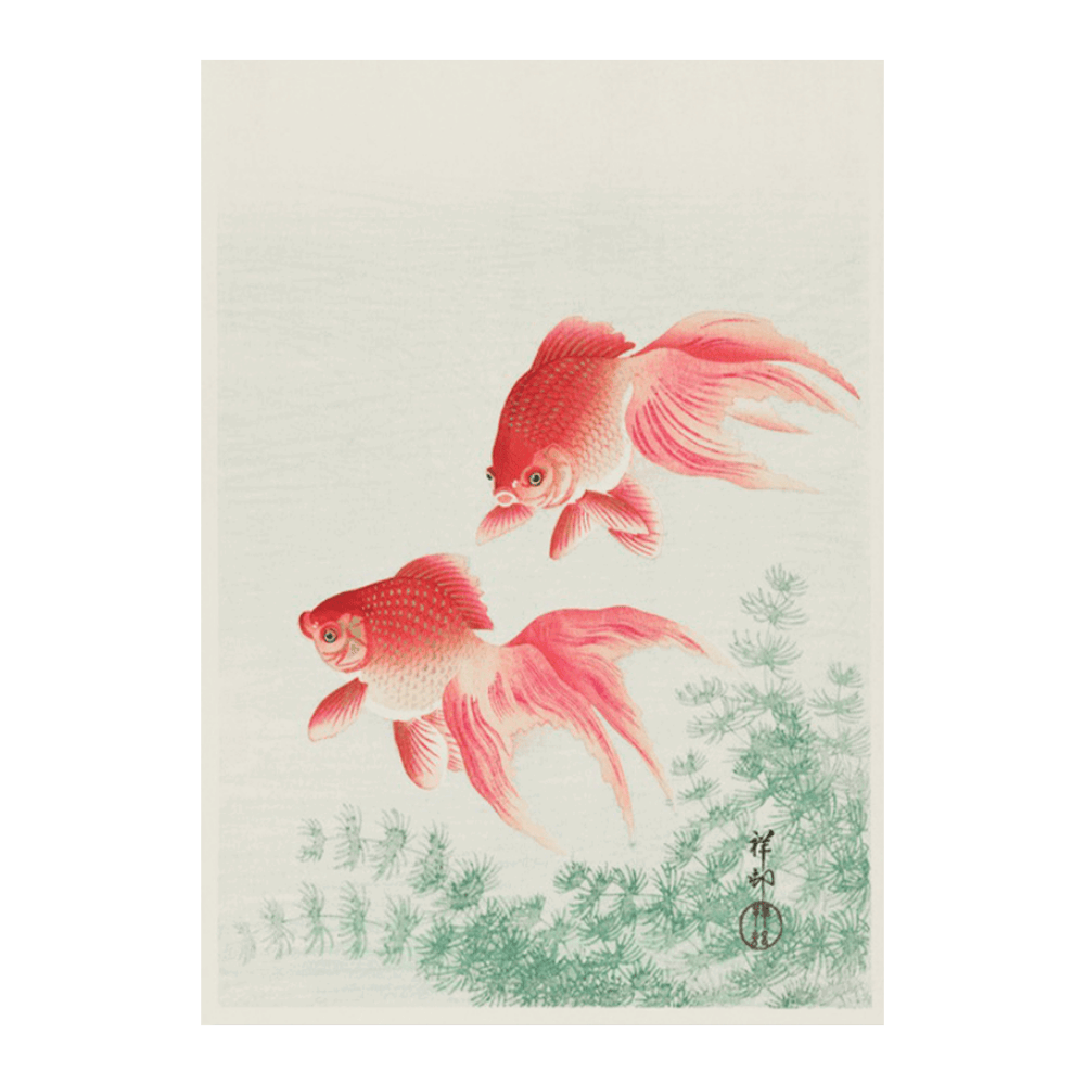 Ohara Koson: "Two Veil Goldfish" (1926)