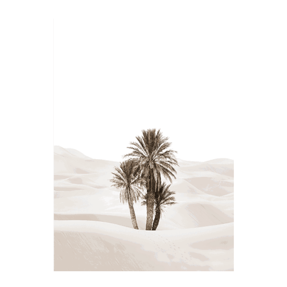 Morocco Scenic Set III