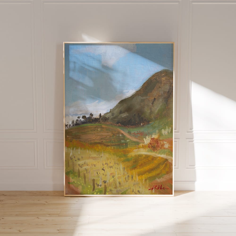 Groot Constantia Valley