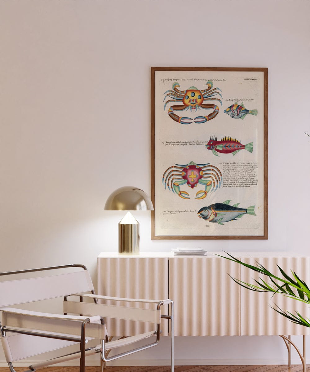 Poissons, Ecrevisses Et crabes, De Diverses Couleurs Et Figures Extraordinaires PI XCII