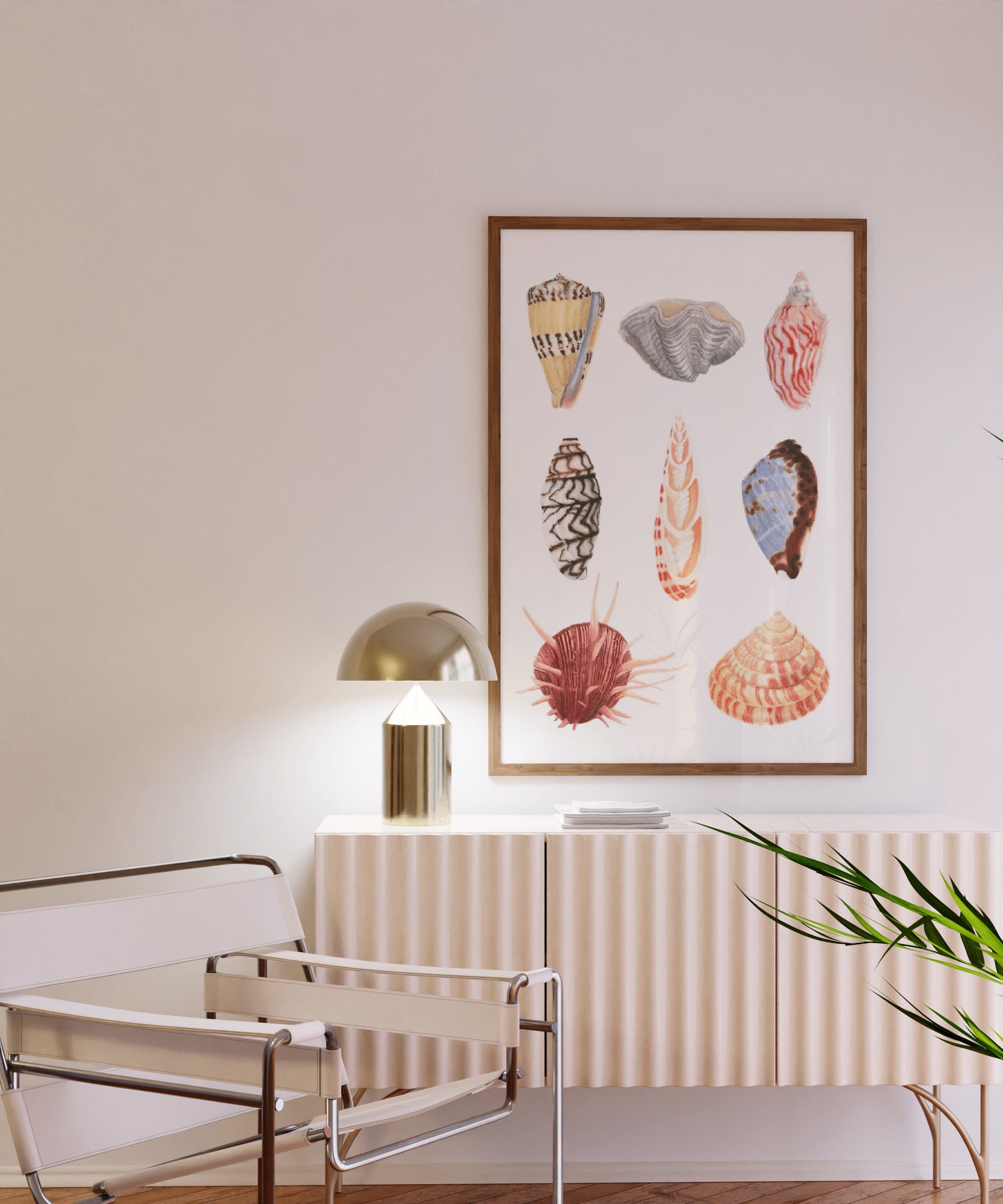Classic Shells I