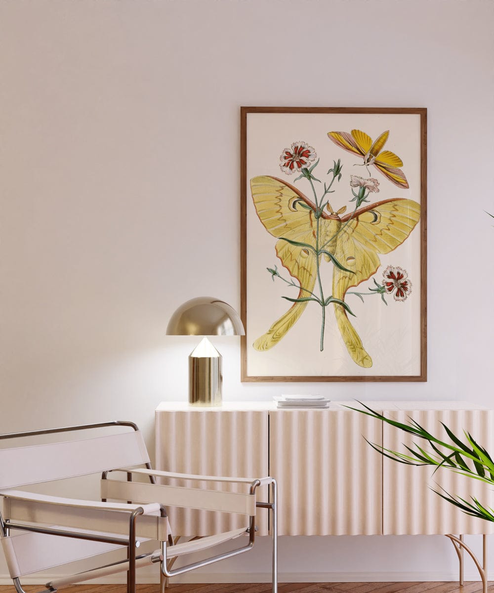 The Cabinet of Oriental Entomology Pl XXII (1848)