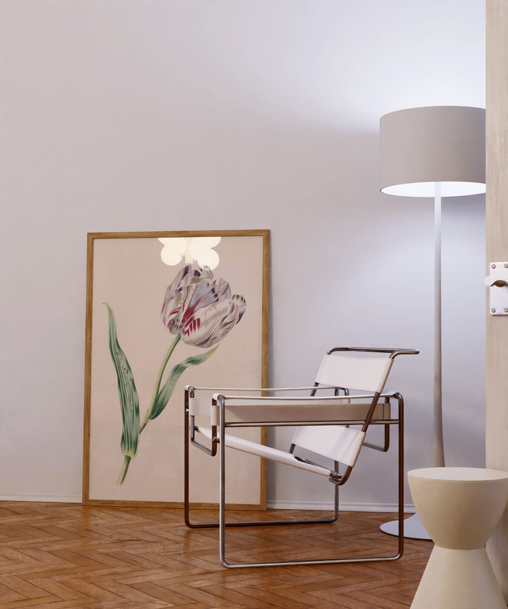 The Tulip (1847)
