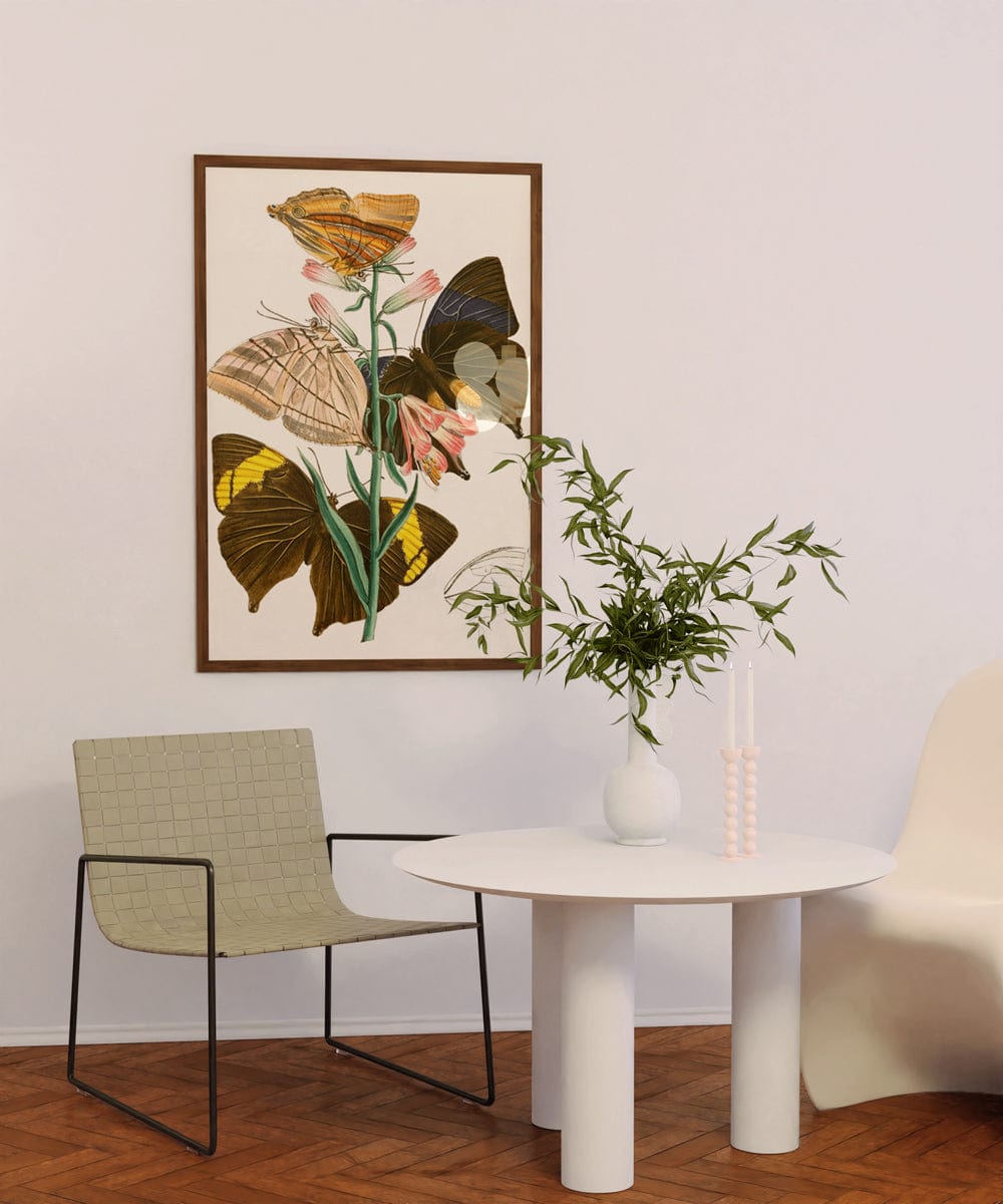 The Cabinet of Oriental Entomology Pl XX (1848)