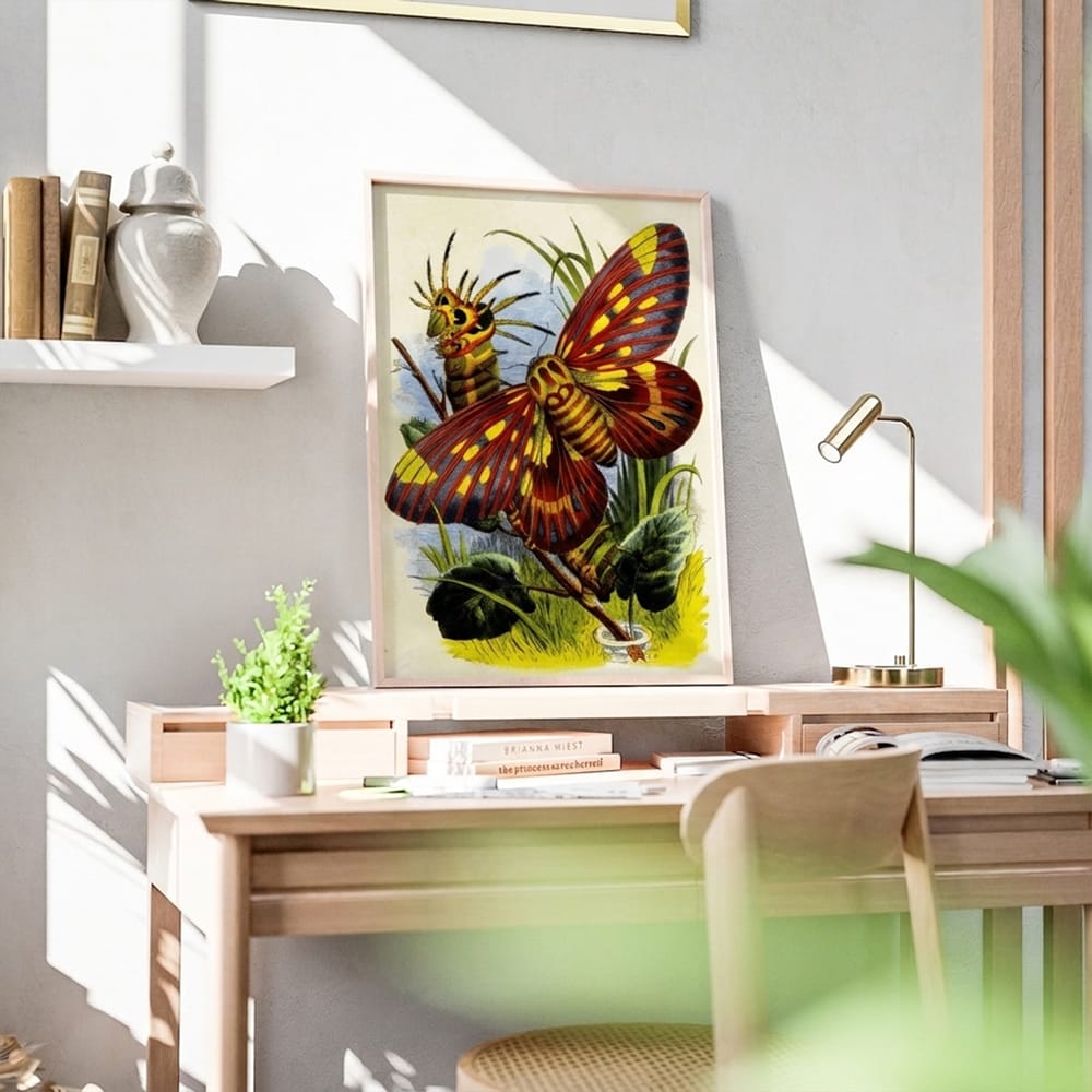 The Butterfly Vivarium Or Insect Home PI XVII (1858)