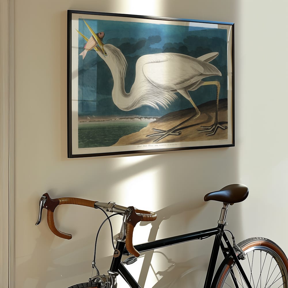 John James Audubon: "Great White Heron"