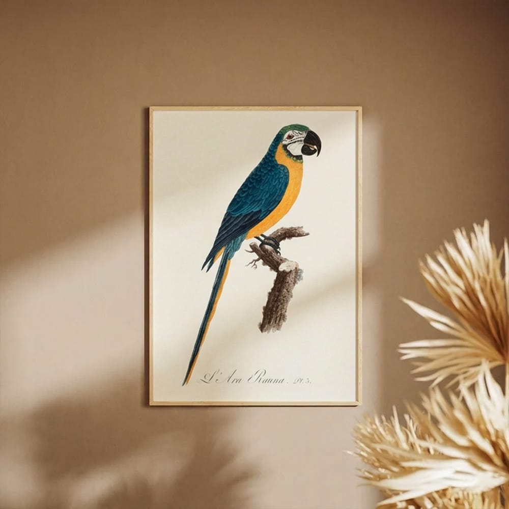 Blue & Yellow Macaw