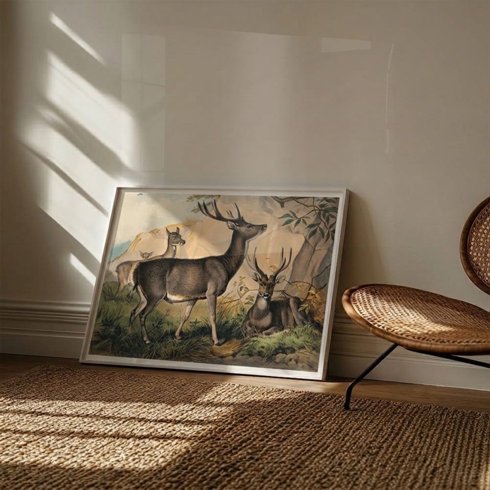 The Rusa Deer