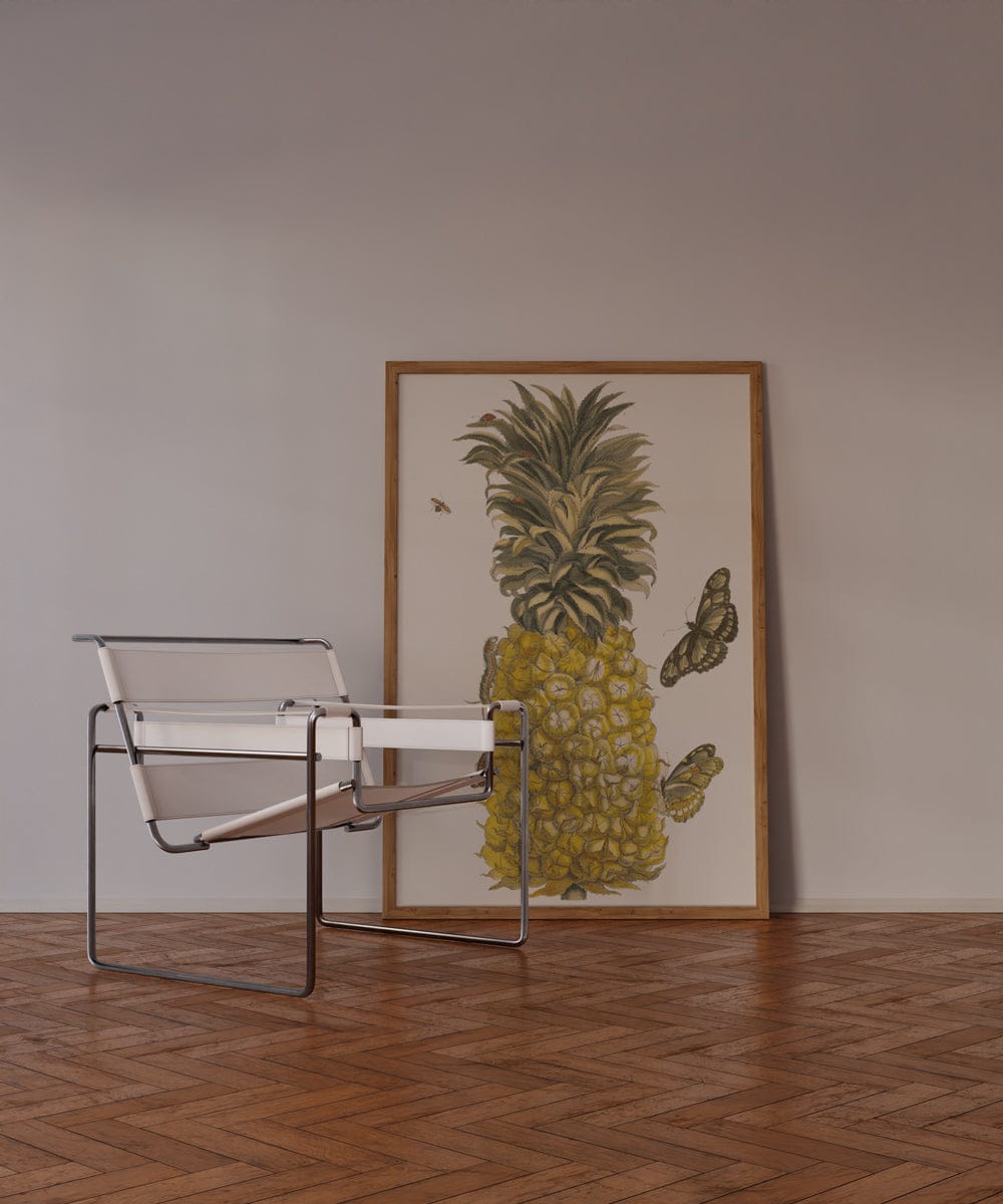 Ananas Mur (1705)
