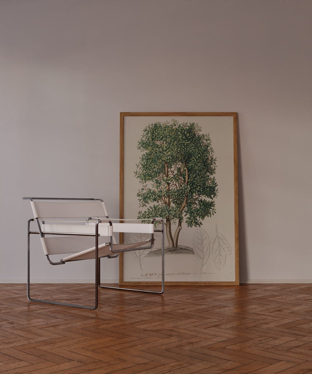 Laurus